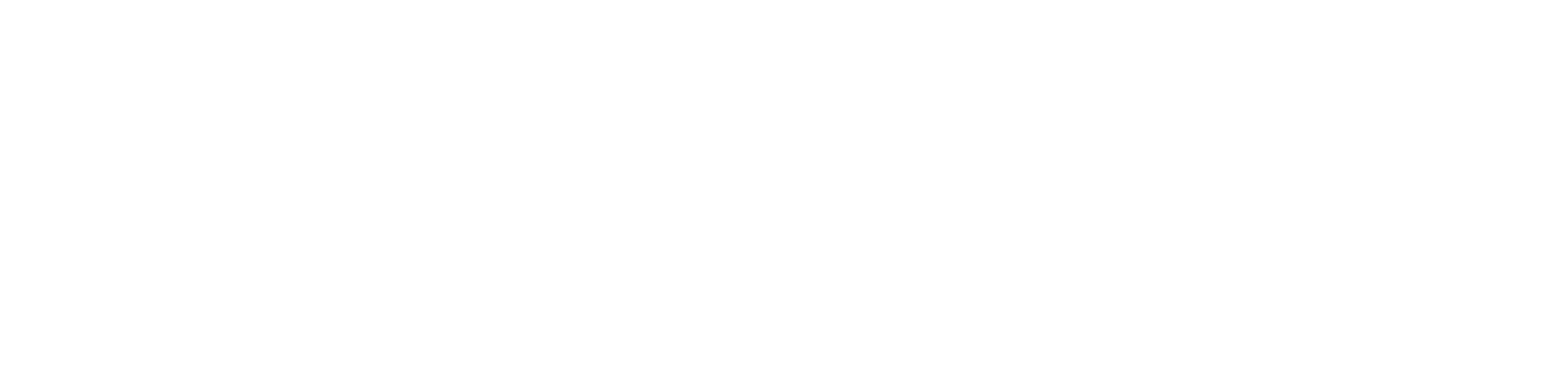 Spotex Logo
